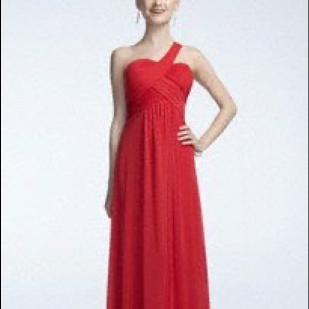 Red Prom/Bridesmaid Dress from David’s Bridal
